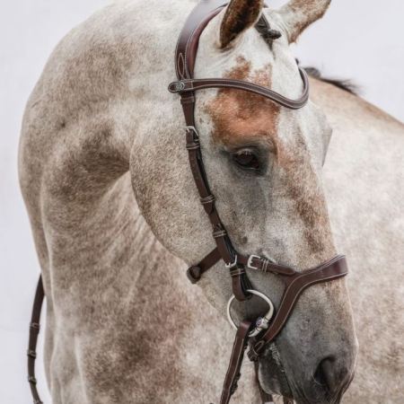 Nirak Bridle